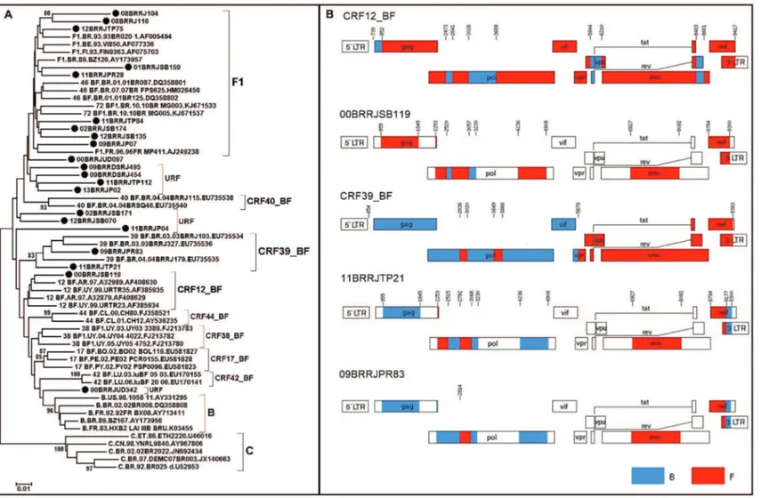 Fig. 2: (A) neighbor-joining phylogenetic analysis of the PR/RT region from all BF1 and F1 samples studied in pol and all CRF_BF that were the F1 sub-subtype for the C2V3 region