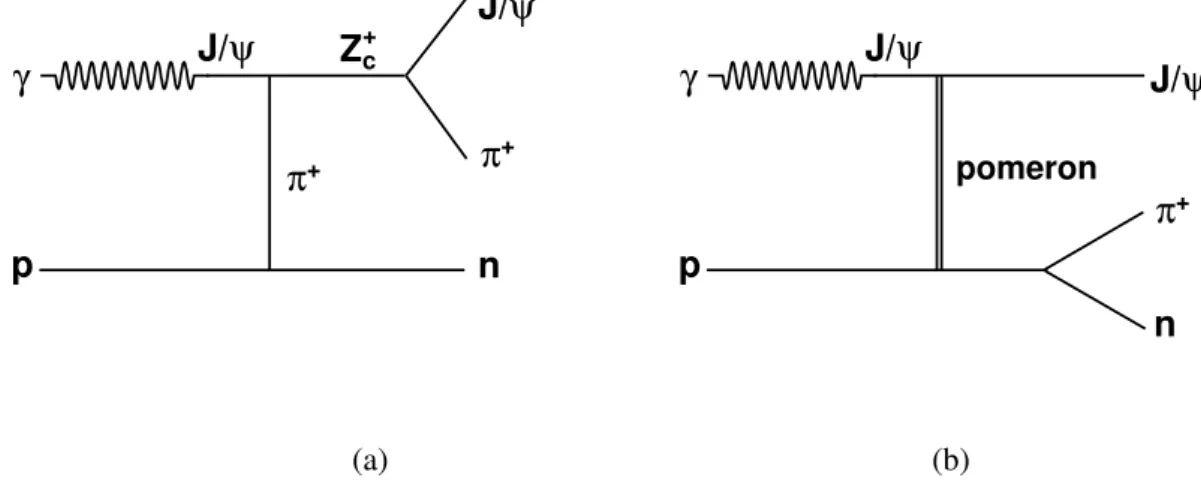 Fig. 1: Diagrams for (a) Z c + (3900) production via virtual π + exchange and (b) J/ψπ + production via pomeron exchange.