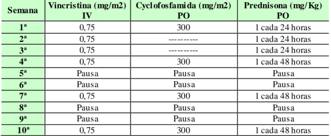 Tabela 59. Esquema semana l das sessões de quimioterapia no protocolo COP1. (Adaptado de:  205 ) 