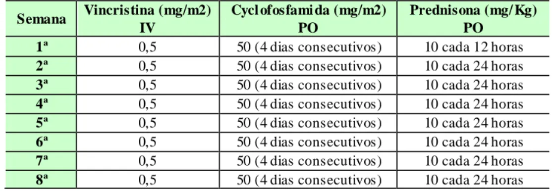 Tabela 60. Esquema semana l das sessões de quimioterapia no protocolo COP2. (Adaptado de: 205 ) 
