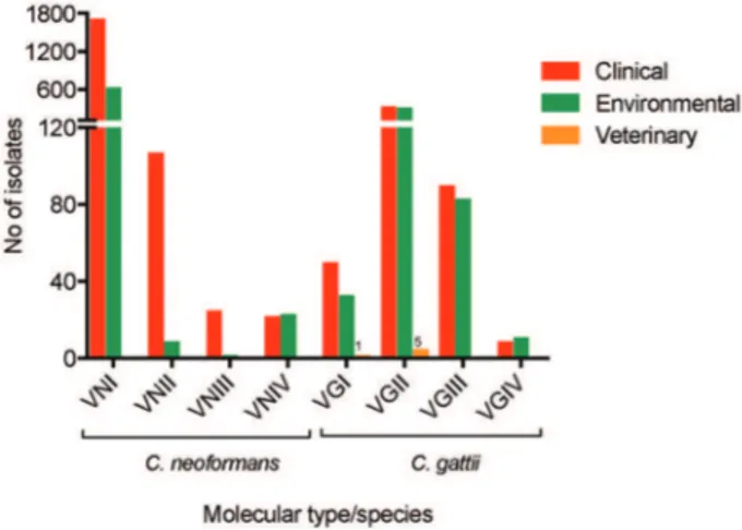 Fig. 1: distribution of Cryptococcus neoformans and C. gattii identified  at molecular type level (n = 3486), recovered from clinical,  environmen-tal a  or veterinary sources in Latin America