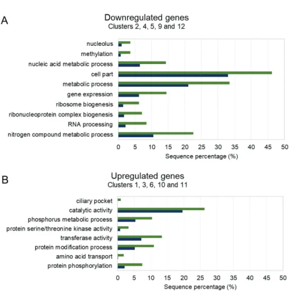 Fig. 7: enriched categories of gene ontology (GO) terms for different clusters. (A) Downregulated genes