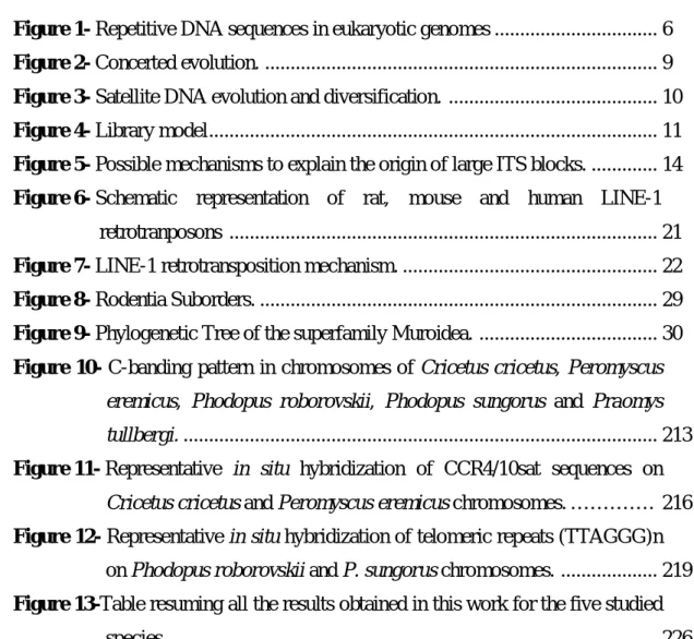 Figure 1- Repetitive DNA sequences in eukaryotic genomes ...............................