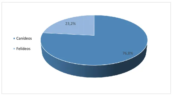 Gráfico 1 – Distribuição dos casos observados por espécie animal [Fr (%)  n=363]. 