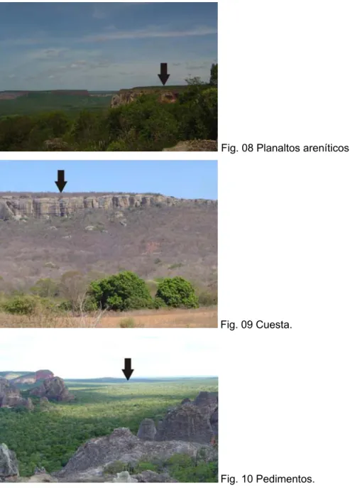 Fig. 08 Planaltos areníticos. 