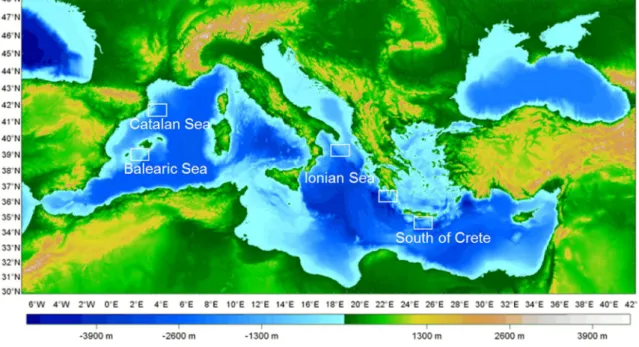 Figure  2.1.2  Map  of  the  sampling  sites.  Catalan  Sea  and  Balearic  Sea  in  the  western  Mediterranean Sea (W), the western and eastern Ionian Sea in the central Mediterranean Sea (C)  and  South  of  Crete  in  the  eastern  Mediterranean  Sea  
