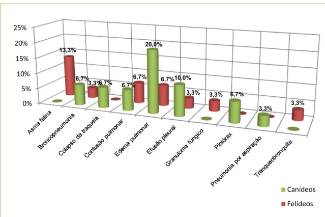 Gráfico 8. Frequência relativa dos casos na área de Pneumologia observados em canídeos e felídeos; n = 30