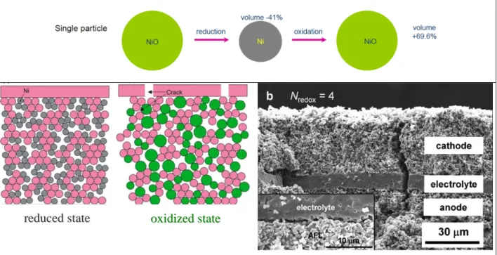 Fig. 6. Schematic representation of agglomeration/sintering of Ni particles with time