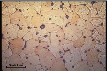 Fig. 8 - Microstructure of Cu alloy. Nominal composition: 60-63% Cu, 33-37% Zn, 2.5- 2.5-3.7% Pb (Scale line length 25µm)
