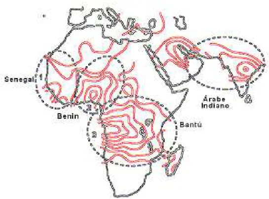 Figura 3. Dispersão do gene HB*S com provável origem africana: hipótese multi-regional