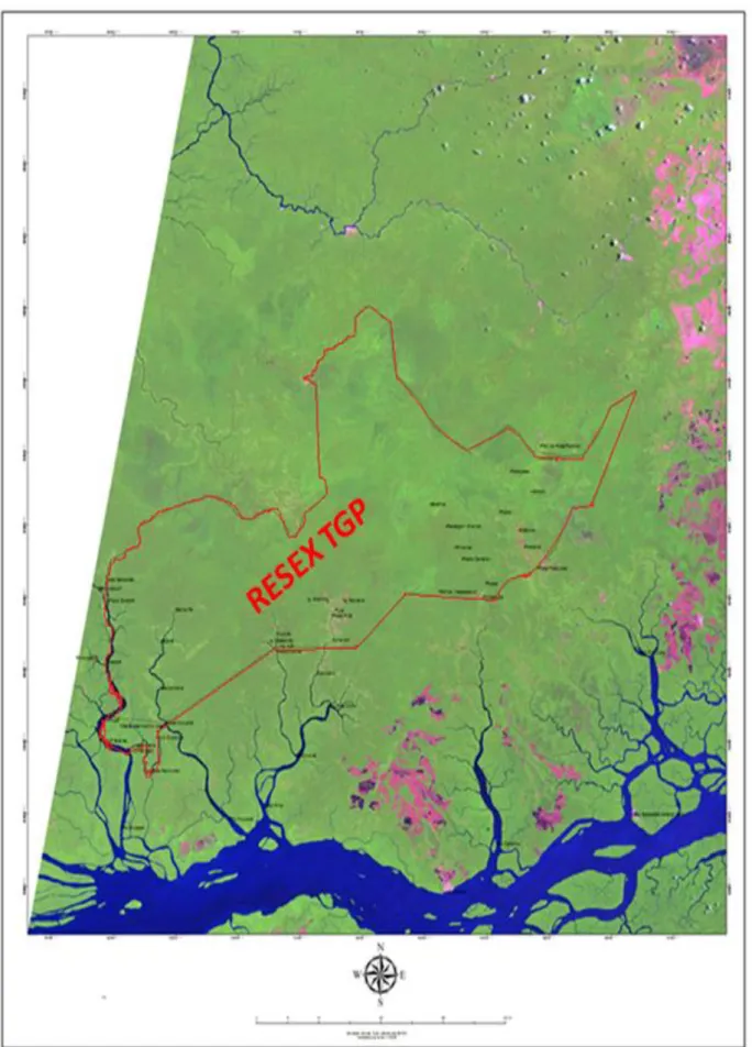 Figura 19 - Imagem de satélite da cobertura vegetal da RESEX Terra Grande Pracuúba, desenho de seu  contorno com as comunidades residentes no seu interior 