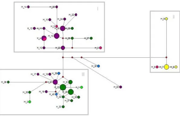Tabela 3  –  Estatísticas sumárias e testes de neutralidade para as populações de Corallus  hortulanus definidas com base nas grandes divisões físicas/ecológicas da distribuição da  espécie (CDT)