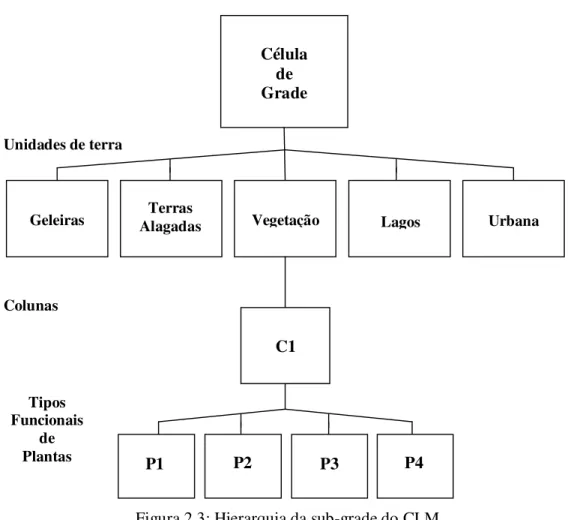 Figura 2.3: Hierarquia da sub-grade do CLM  Fonte: Adaptada de Vertenstein et al., 2004