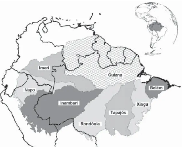 Figura 1. Áreas de endemismo na Amazônia baseadas na distribuição de vertebrados terrestres  (modificado de: Silva et al