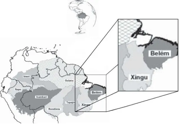 Figura 10. Área de estudo no contexto das áreas de endemismo da Amazônia baseadas na  distribuição de vertebrados terrestres (modificado de: Silva et al