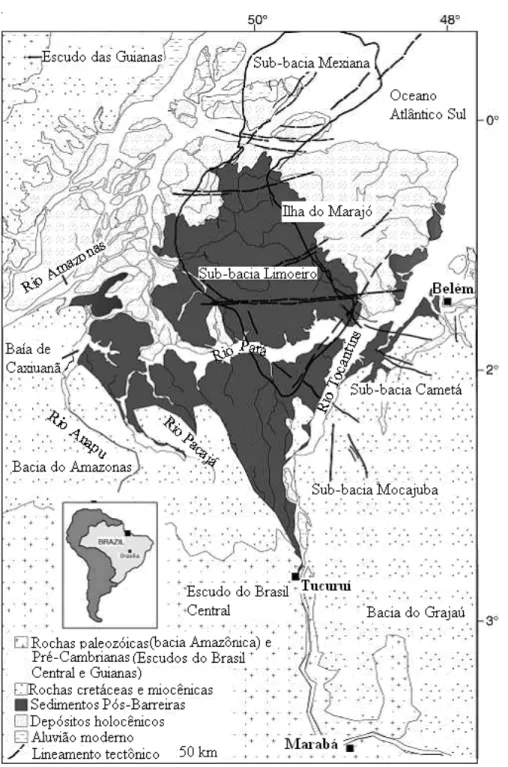 Figura 11. Mapa geológico da área de estudo na bacia de drenagem do baixo Amazonas. 