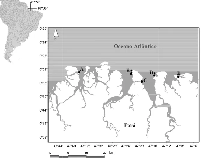 Figura 2 - Localização geo em  praias  arenosas  da  Zon Fortalezinha;  D)  Marieta;  e abril) e estiagem (setembro,