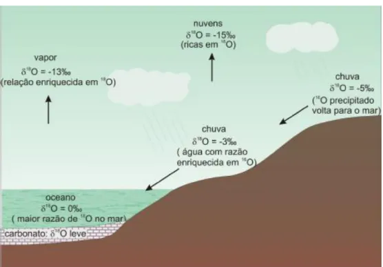 Figura 2- Comportamento isotópico do oxigênio no ecossistema. 