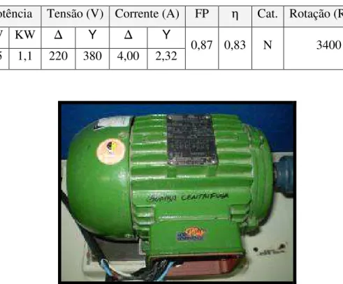Tabela 4.2 – Principais características do motor de indução trifásico. 