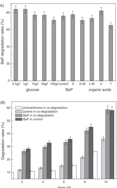 Fig. 4 – Effects of co-substrates on BaP anaerobic biodegradation by C ellulosimicrobium cellulans CWS2