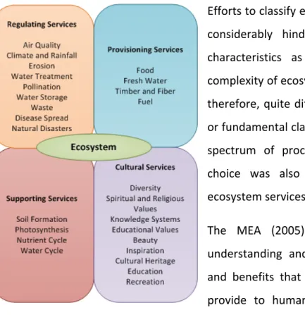 Figure 2.1. Ecosystem services 
