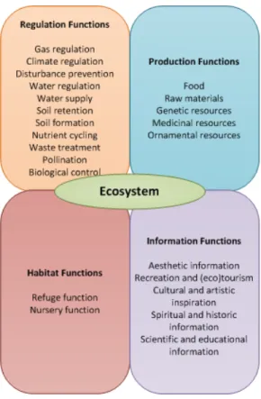 Figure 2.2. Ecosystem functions 
