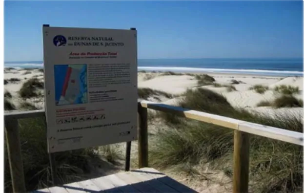 Figure 3.10. São Jacinto Dunes Natural 