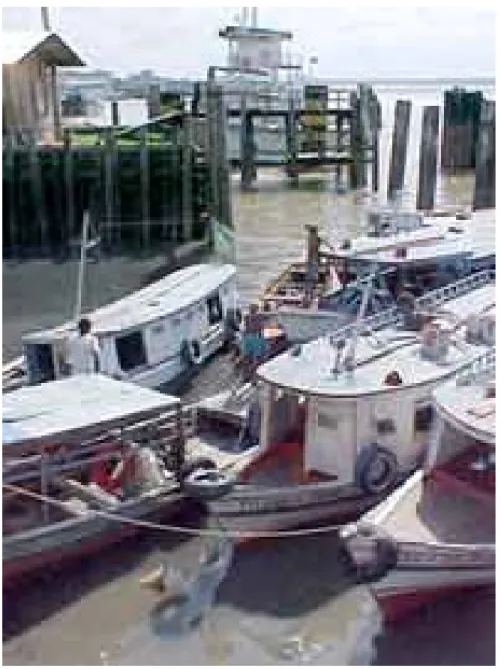 FIGURA 2: Um dos pequenos portos na cidade de Belém, utilizado para pequenas embarcações Fonte: Site Governo do Estado do Pará, 2005