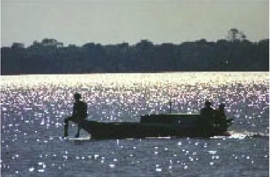 FIGURA 8: Pequena embarcação, bastante utilizada pela população Ribeirinha no Estado do Pará.