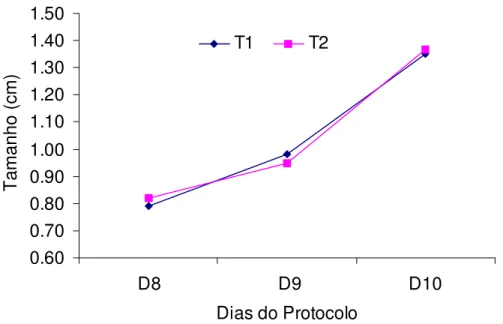 Figura 4.1 - Diâmetro folicular de novilhas em protocolo de sincronização de cio, suplementadas com minerais orgânicos (T1) e inorgânicos (T2), Uberlândia, 2005.