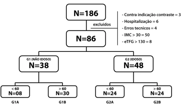 FIGURA 2 Composição dos grupos estudados 