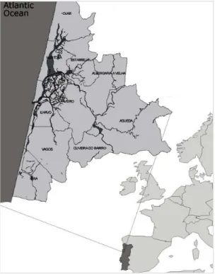 Figure 2.1: Ria de Aveiro lagoon. 