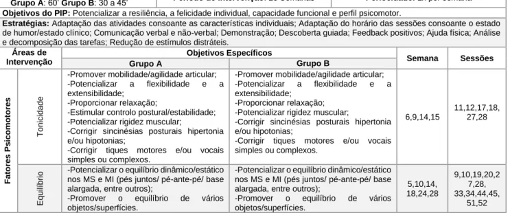 Tabela 8: Programa de intervenção psicomotora 
