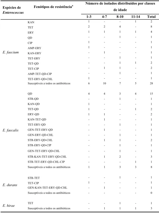 Tabela 3 - Fenótipos de resistência apresentados pelos isolados de Enterococcus spp. e sua distribuição por classes  de idades das crianças e por espécies.
