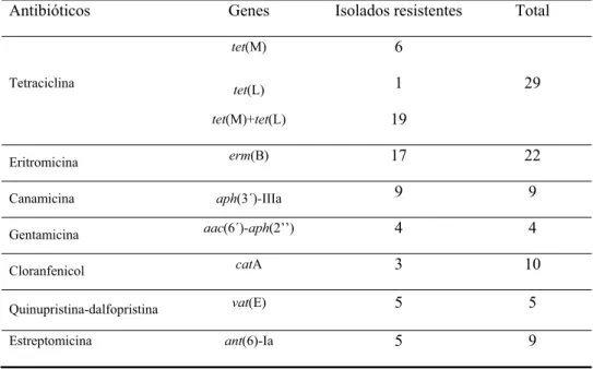 Tabela 4 – Fenótipo e genótipo de resistência das espécies de Enterococcus spp. encontradas.