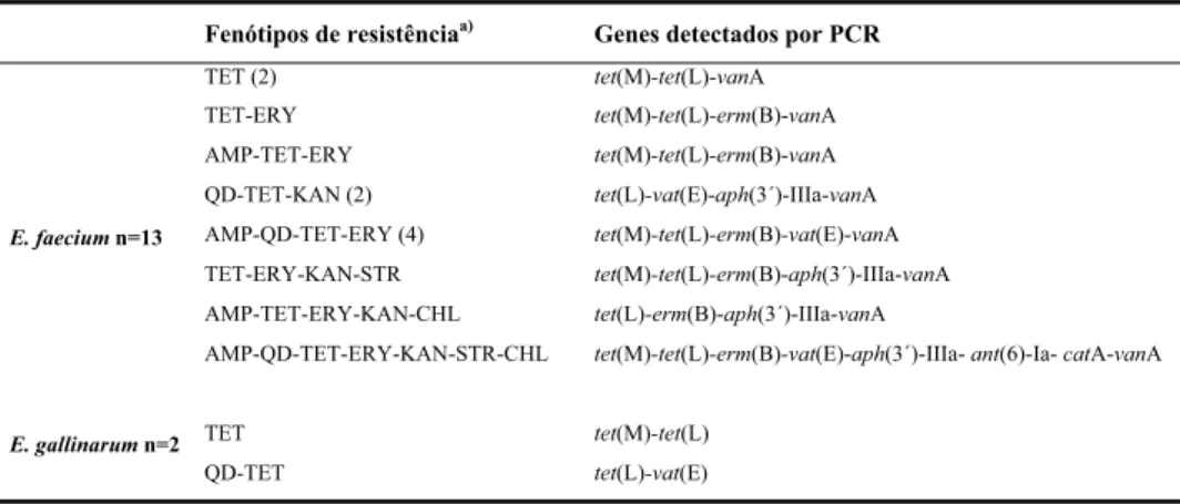 Tabela 10 - Fenótipos e genótipos de resistência dos 15 isolados VRE. 