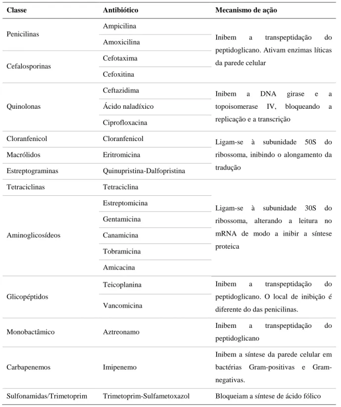 Tabela 1. Lista de antibióticos utilizados, respetivas classes e mecanismos de ação. Adaptado de Sousa, 2006  e Willey et al., 2008