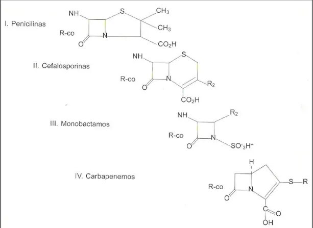 Figura 1: Estrutura química dos β-lactâmicos (adaptado de Sousa e Peixe, 2010). 
