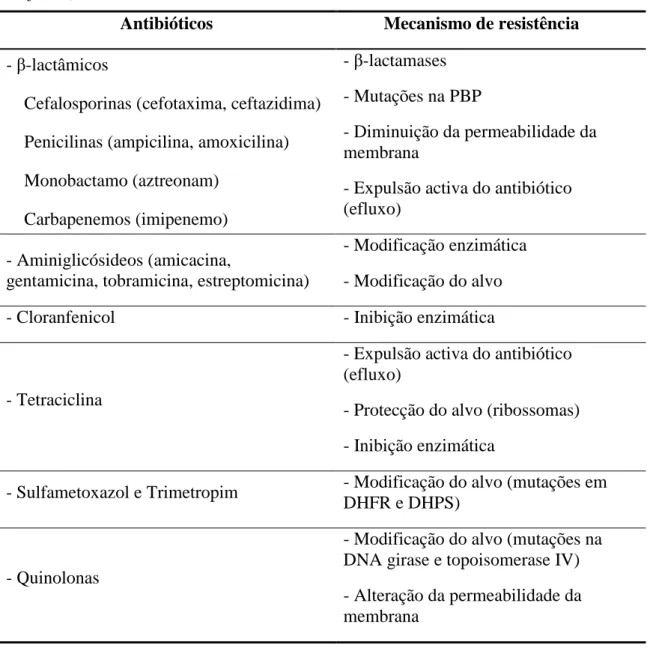 Tabela  2:  Antibióticos  e  mecanismos  de  resistência  (adaptado  de  Fuchs  et  al.,  1994;  Samaha-Kfoury  e  Araj, 2003)