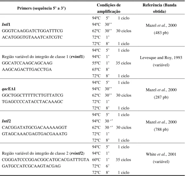 Tabela 6: Sequência nucleotídica dos primers de PCR para o estudo dos integrões de classe 1 e 2 em  E