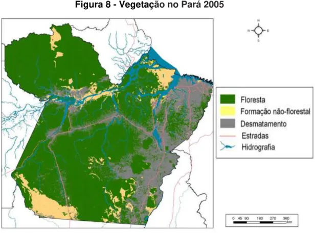 Figura 8 - Vegetação no Pará 2005 