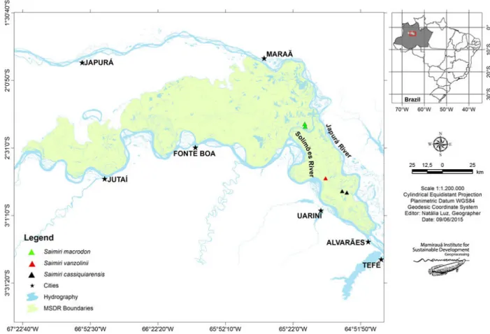 Fig. 1. Distribution of capture areas for Saimiri vanzolinii, Saimiri cassiquiarensis and Saimiri macrodon
