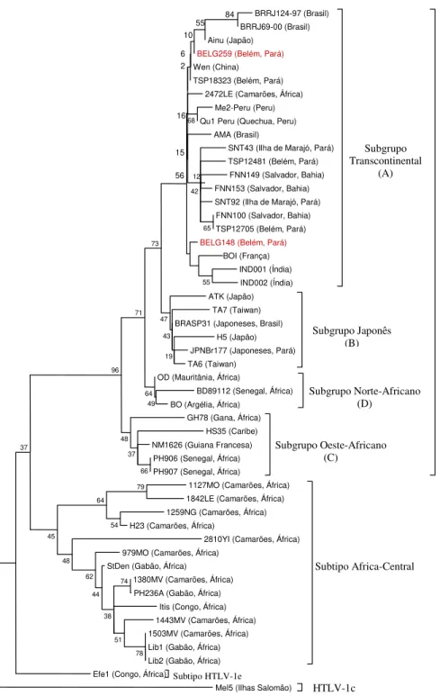 Figura 11- Árvore filogenética enraizada, mostrando as relações filogenéticas entre as cepas do  HTLV-1  descritas  no  presente  estudo  (amostras  em  vermelho;  BELG148  e  BELG259)  com  aquelas disponíveis no GenBank