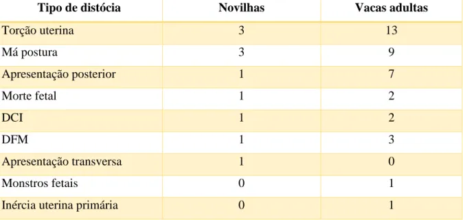 Tabela 3 - Número de casos observados em novilhas e em vacas adultas durante o estudo