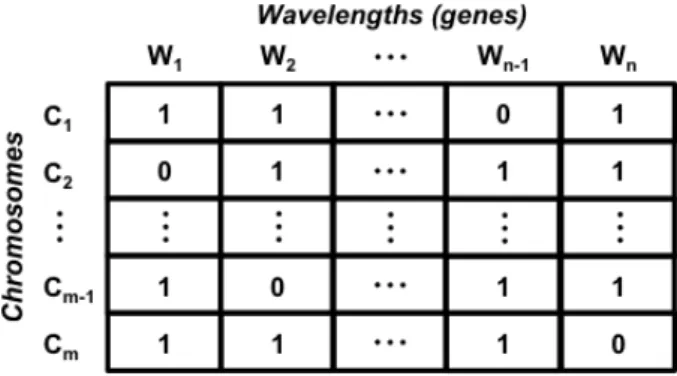 Fig. 4. Chromosome and initial population representation. 