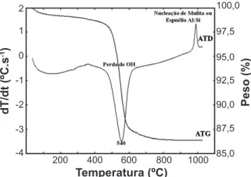 Figura 6: Curvas de análise termogravimétrica e térmica diferencial  do material RCC.