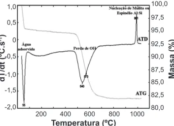 Figura 7: Curvas de análise termogravimétrica e térmica diferencial  do material RCI.