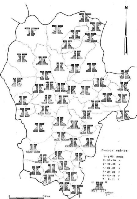 Fig. 5 — Estratura etária da população das freguesias do concelho de Ponte de lima em 1981.
