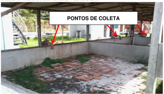 Figura 9: Pontos de coleta do lodo na ETE Vila da Barca  