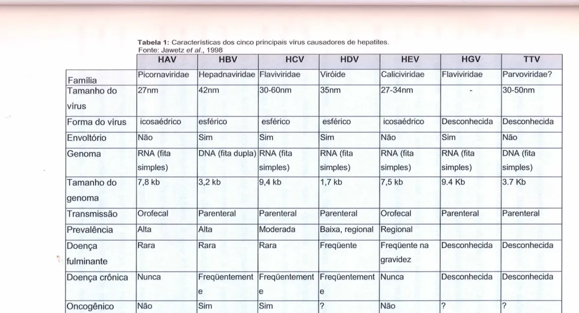 Tabela 1: Características dos cinco principais vírus causadores de hepatites.